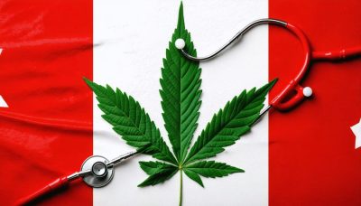 Digital artwork illustrating the integration of CBD into Canadian healthcare with a Canadian flag merging into a cannabis plant and healthcare symbols.